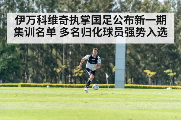 伊万科维奇执掌国足公布新一期集训名单 多名归化球员强势入选