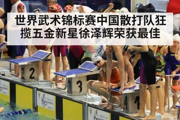 世界武术锦标赛中国散打队狂揽五金新星徐泽辉荣获最佳